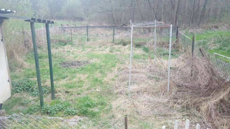 18012982_1488319627886300_1696127367_o