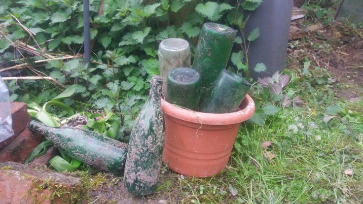 18015627_1488319654552964_223815173_o