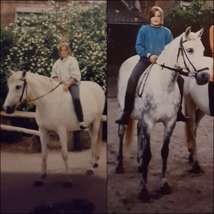 21209052_1630614723656789_1576260147_n